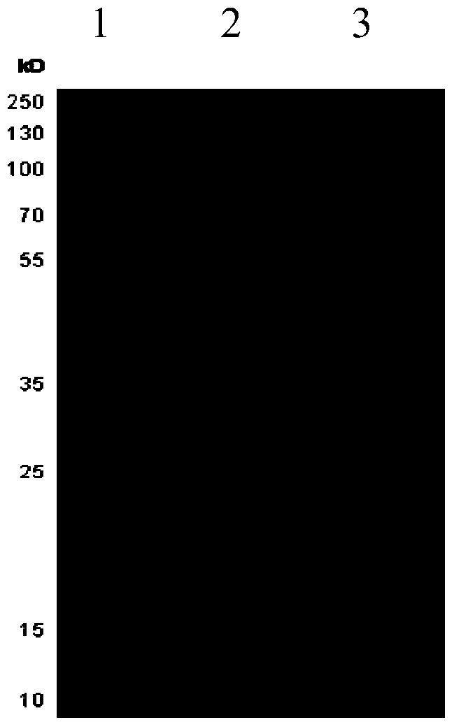 A detection kit and its application