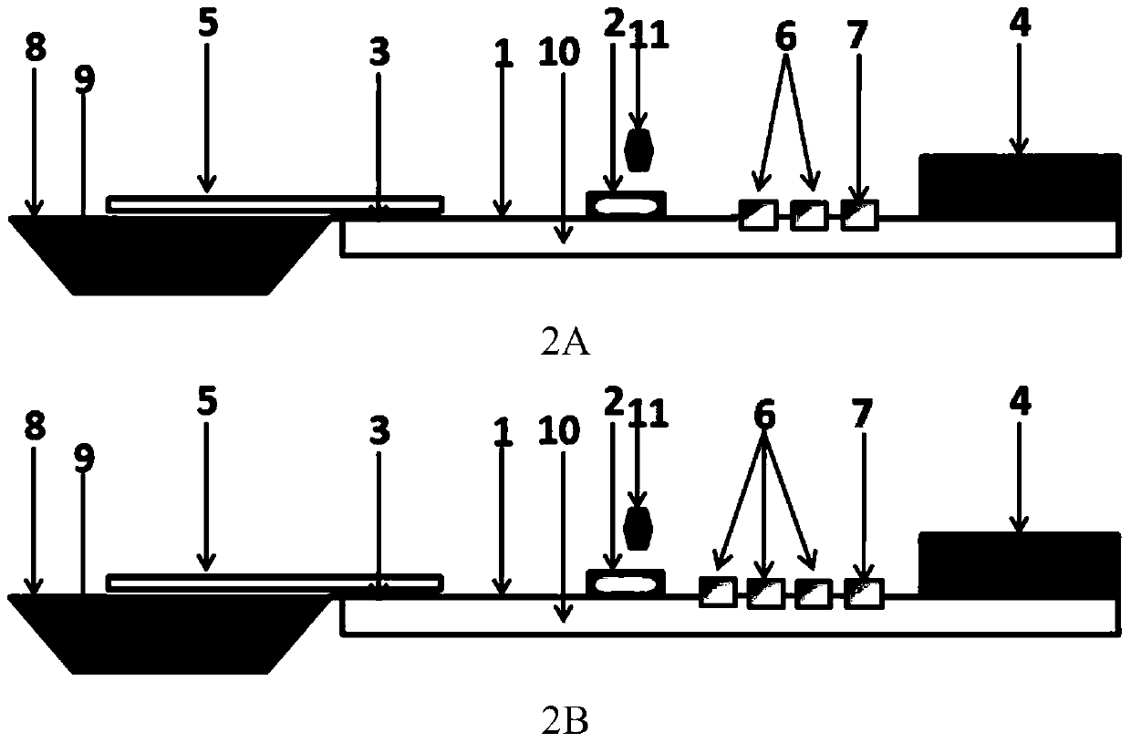 A detection kit and its application