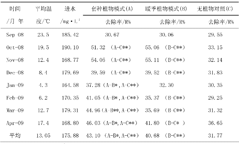 Artificial wetland warm season and cold season plants interplanting configuration method in subtropical areas