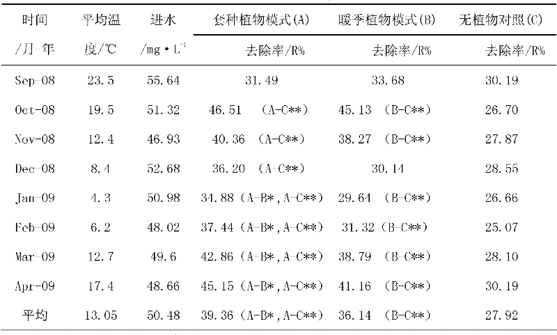 Artificial wetland warm season and cold season plants interplanting configuration method in subtropical areas