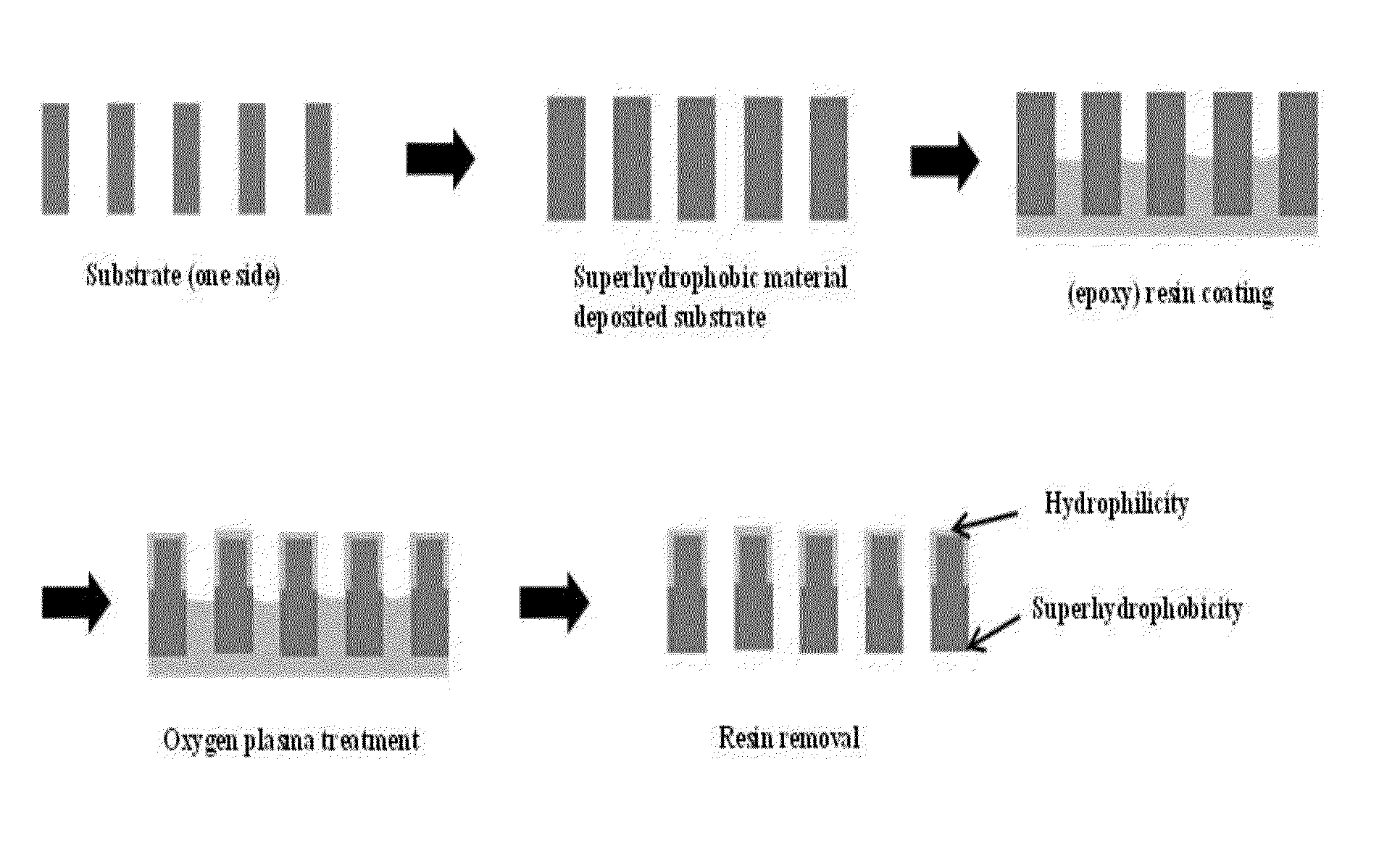 Method of fabricating surface body having superhydrophobicity and hydrophilicity and apparatus of preparing the same