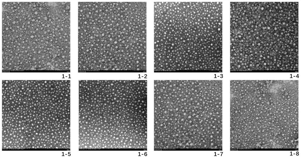 A preparation method of trans-anethole-albumin nanoparticles traced with indocyanine green fluorescence