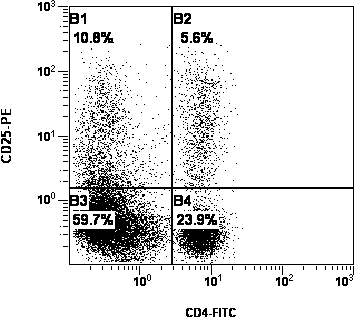 Culture method of autologous peripheral blood lymphocyte DC-CIK (Dendritic Cell- Cytokine-induced Killer)