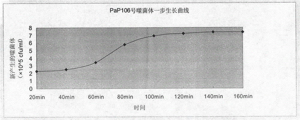 A phage capable of lysing multidrug-resistant Pseudomonas aeruginosa and its application in treating infection