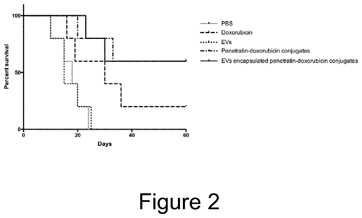 Cell penetrating peptide (CPP)-mediated ev loading