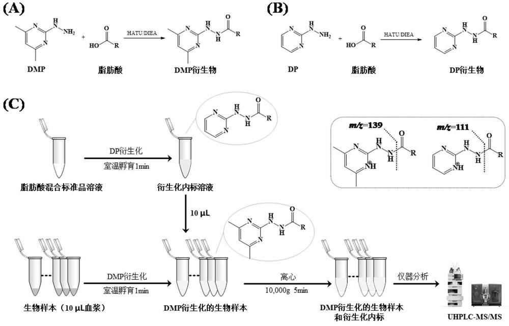 Fatty acid lc-ms/ms analysis method based on double derivatization technology