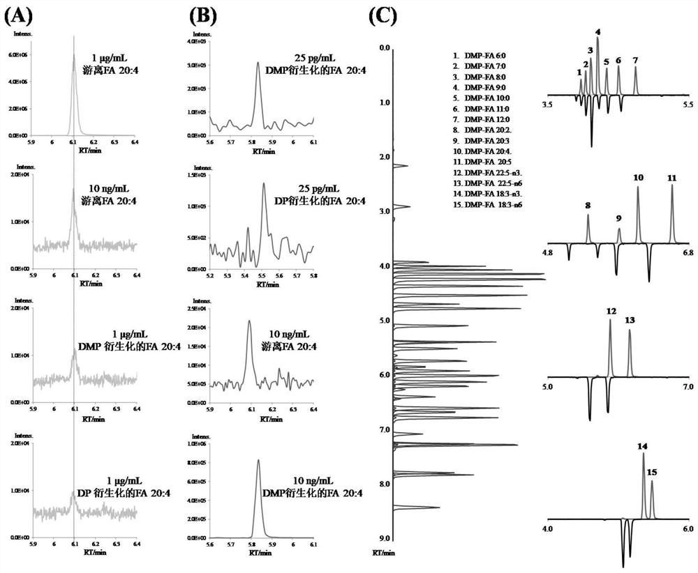 Fatty acid lc-ms/ms analysis method based on double derivatization technology