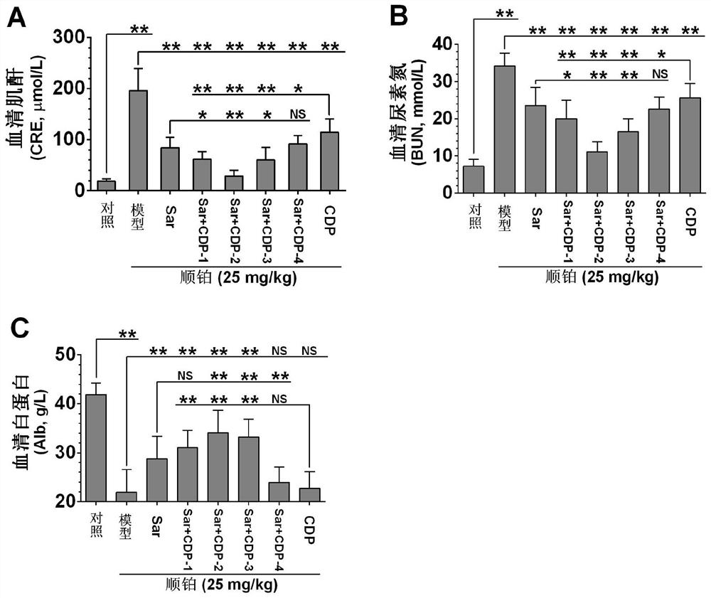 Application of a compound pharmaceutical composition in preparation of medicine for treating acute kidney injury