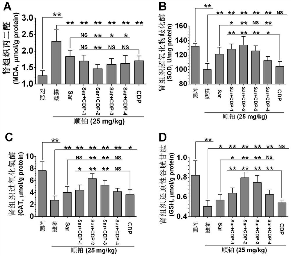 Application of a compound pharmaceutical composition in preparation of medicine for treating acute kidney injury