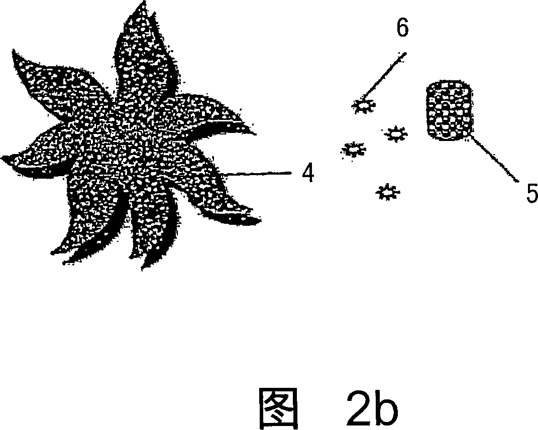 Controlled and directed local delivery of anti-inflammatory compositions