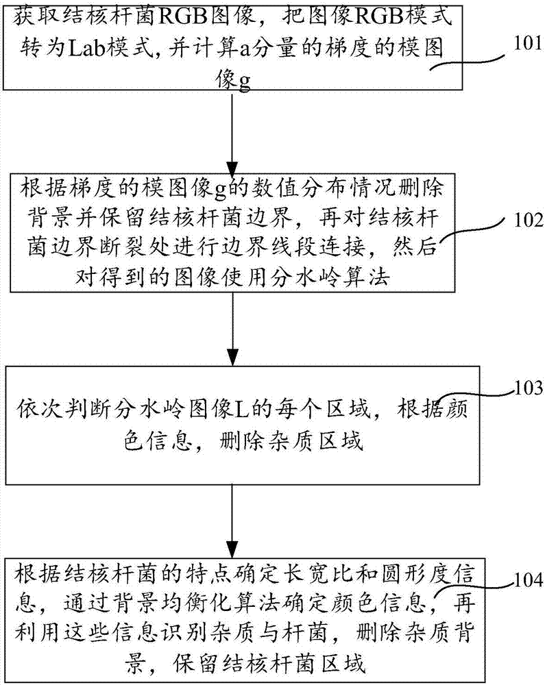 Mycobacterium tuberculosis image segmentation identification method based on optimization watershed and apparatus thereof