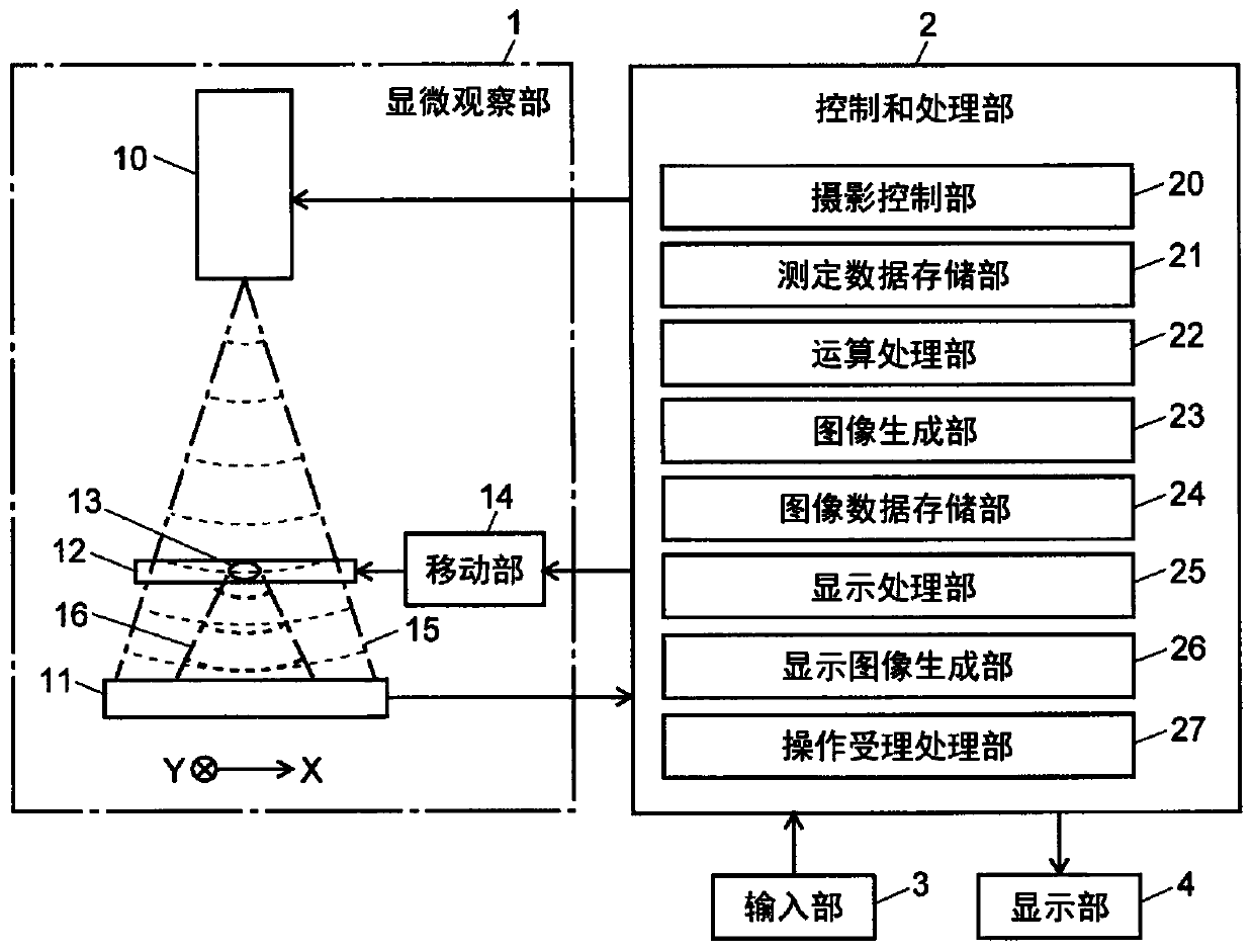 Cell observation apparatus