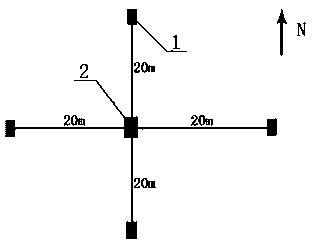 Dynamic electricity observing system for natural electric field