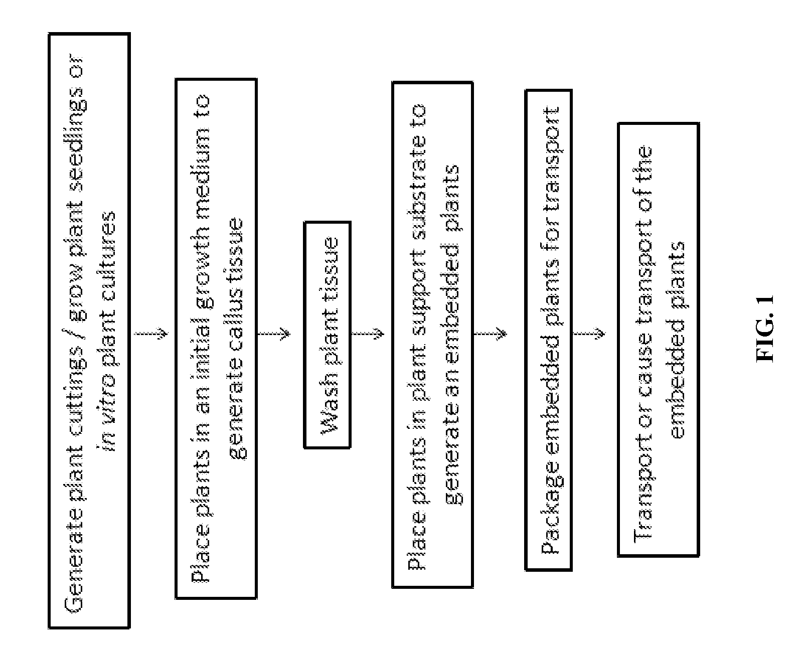 Plant growing and distribution systems