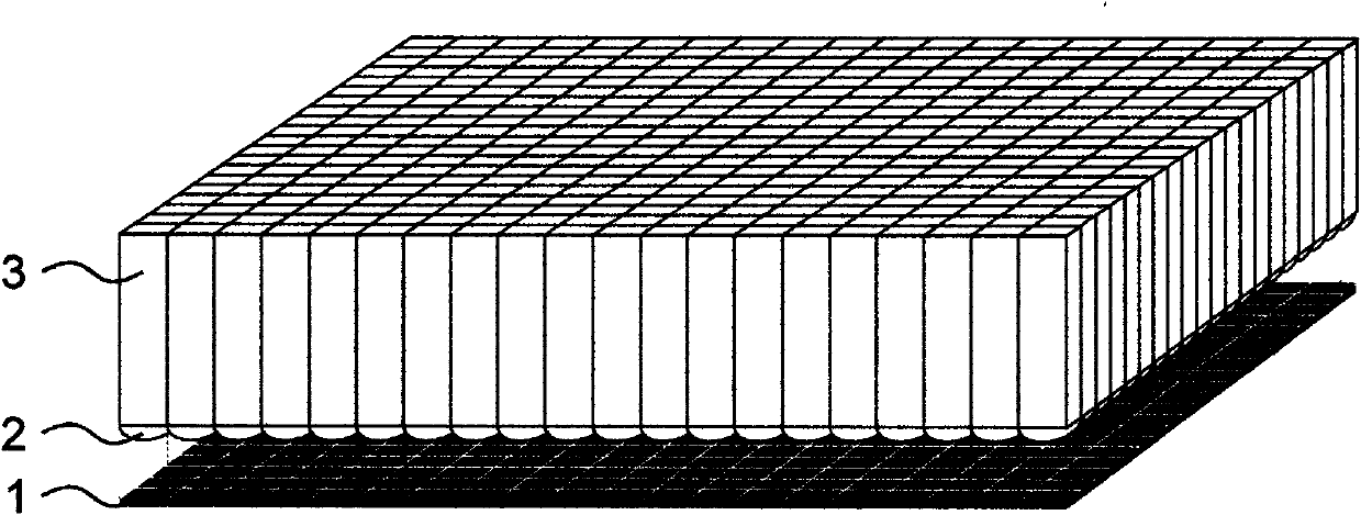 3D stereo display technology