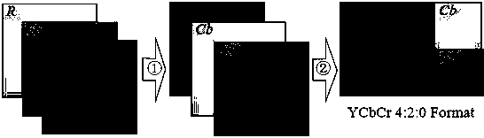 Encryption and Decryption Method of Double Cylindrical Random Phase Encoding of Color Image