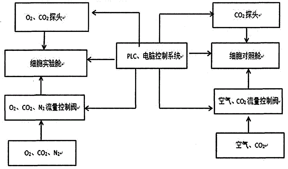 Multifunctional cell simulation cabin