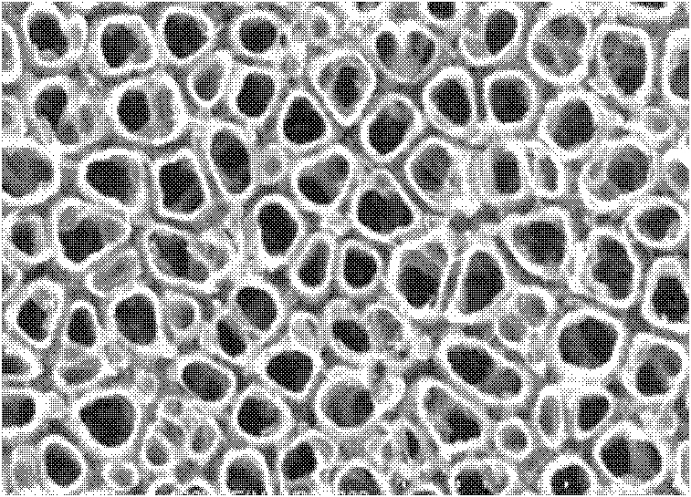 A tube-and-tube nano-titanium dioxide tube array photocatalytic reactor and preparation method thereof