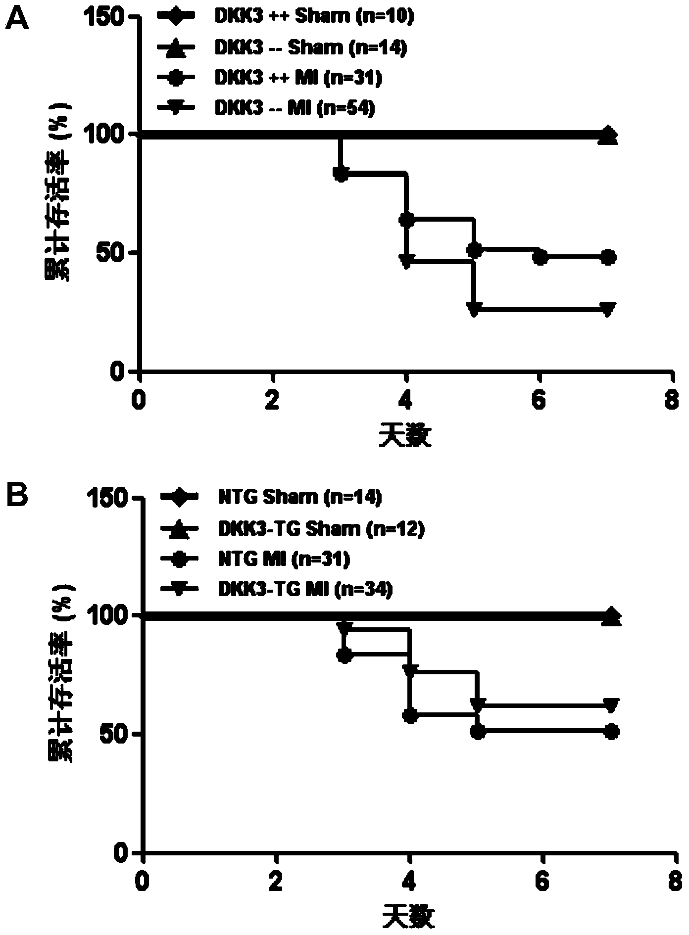 Function and application of Dickkopf-3 (DKK3) gene in coronary atherosclerotic heart disease