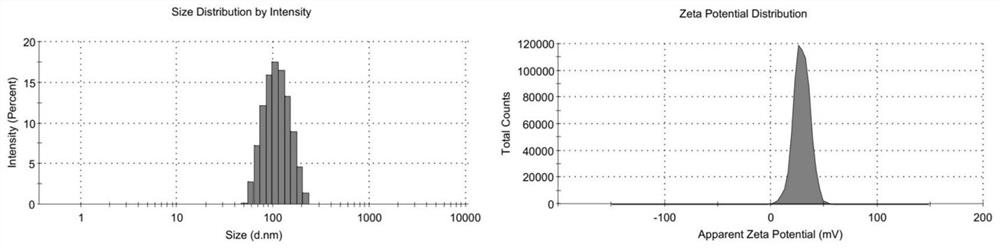 Gene/drug composite lipid preparation and preparation method and application thereof