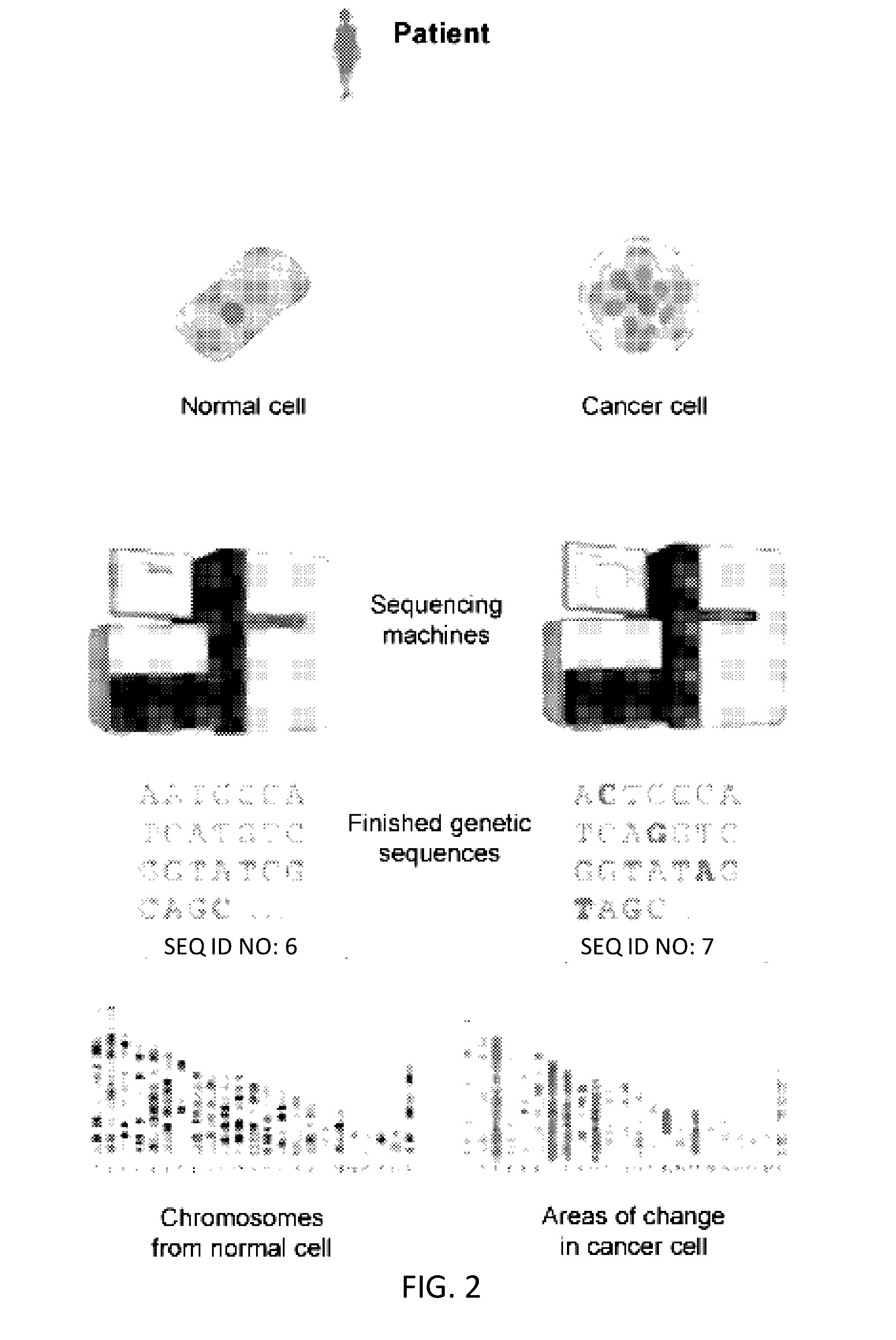 Methods for assessing cancer