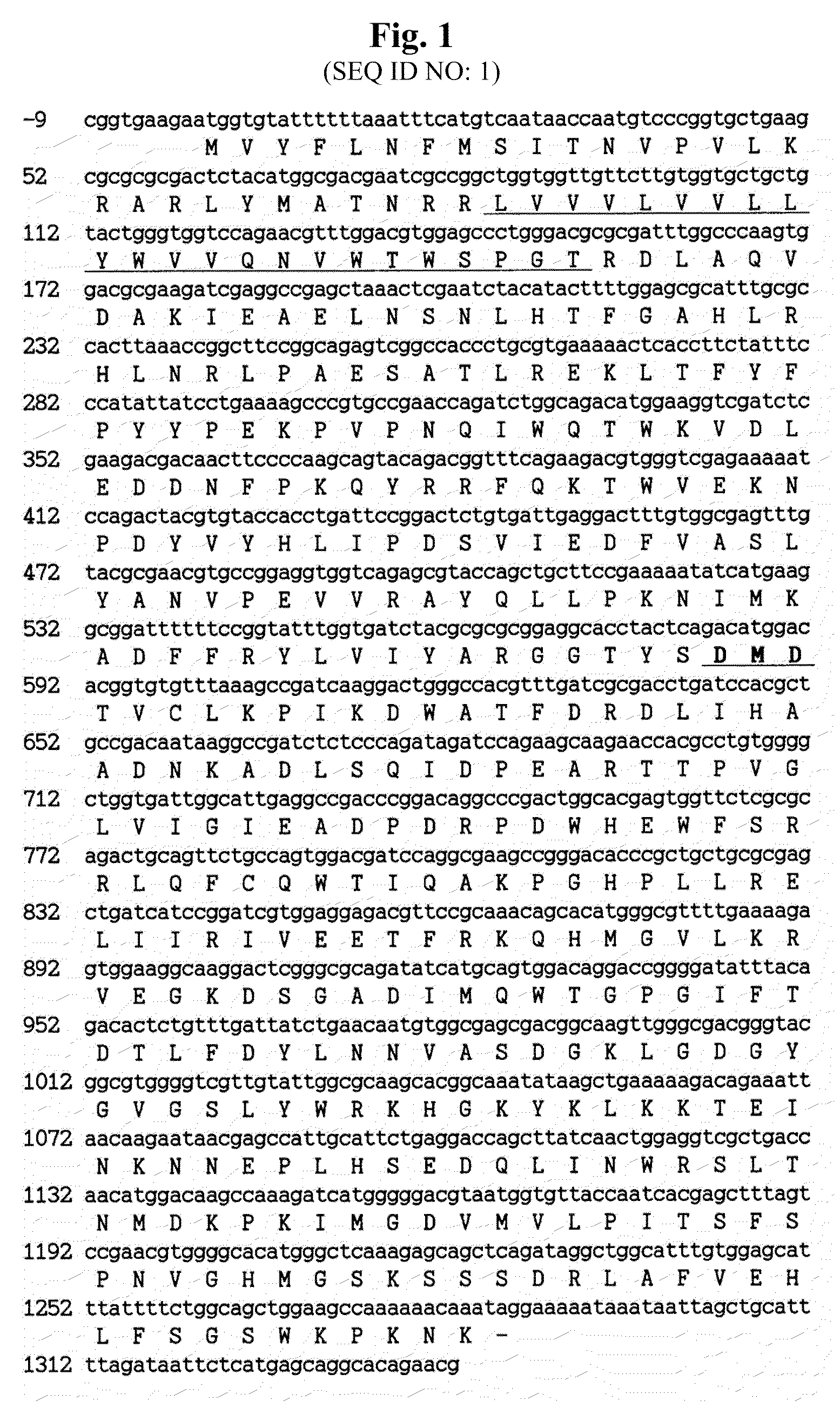 Hansenula polymorpha gene coding for α 1,6-mannosyltransferase and process for the production of recombinant glycoproteins with Hansenula polymorpha mutant strain deficient in the same gene