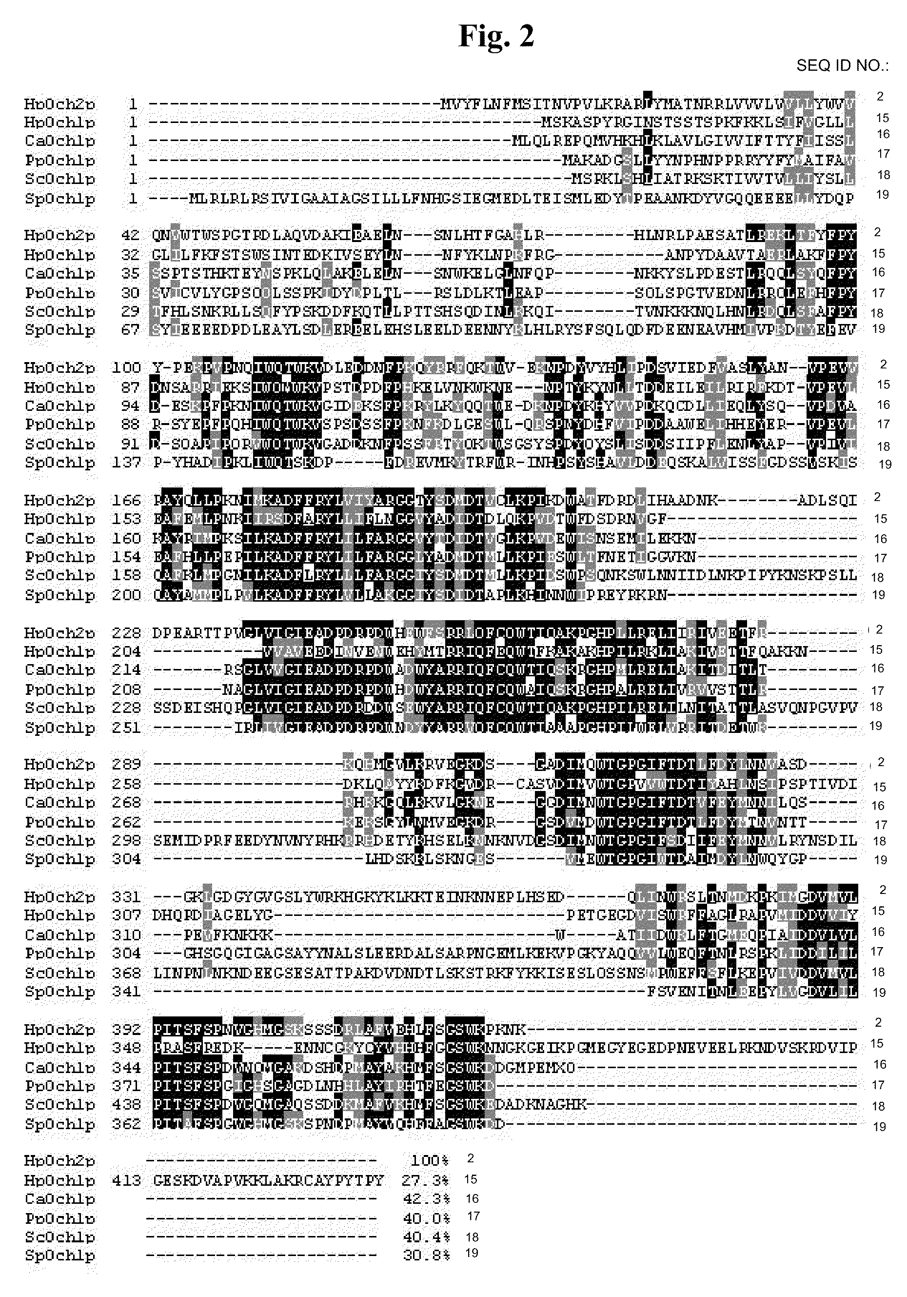 Hansenula polymorpha gene coding for α 1,6-mannosyltransferase and process for the production of recombinant glycoproteins with Hansenula polymorpha mutant strain deficient in the same gene