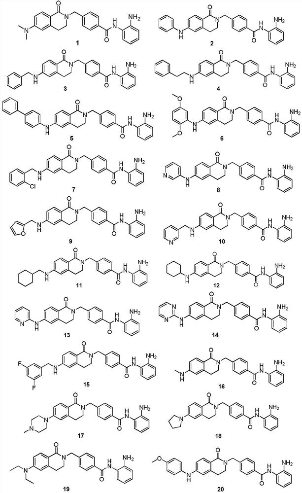 Histone deacetylase inhibitor and its application