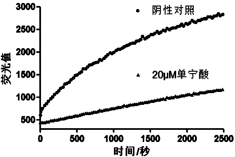 Application of a series of compounds with tannic acid as representation in resisting infection of chikungunya and other alphaviruses