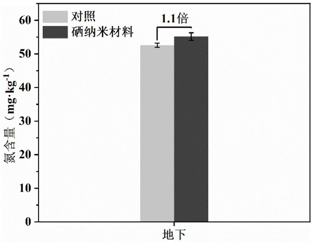 Method for increasing yield of selenium-enriched rice by increasing tillering