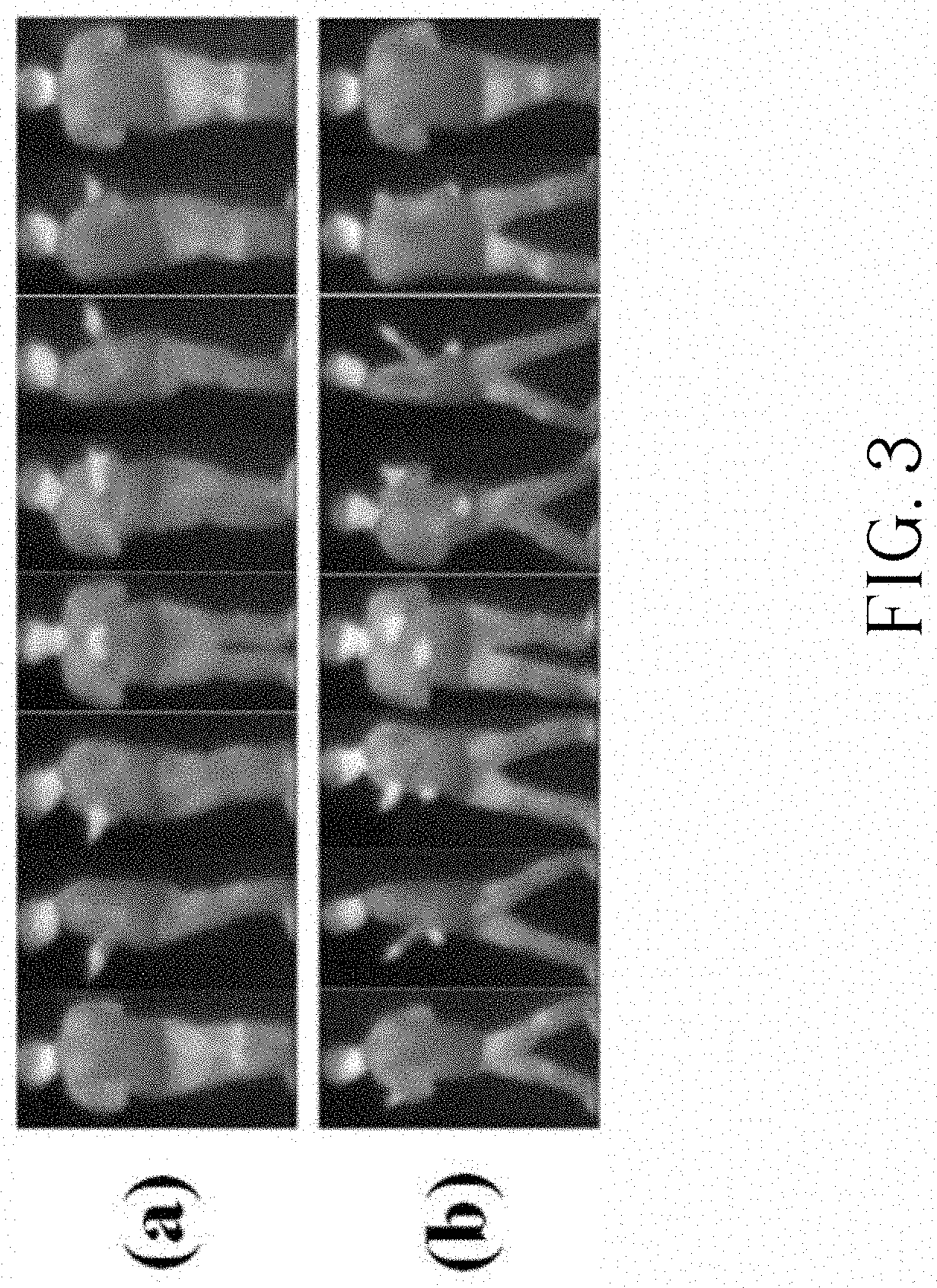 Image Adaptive Feature Extraction Method and Application Thereof