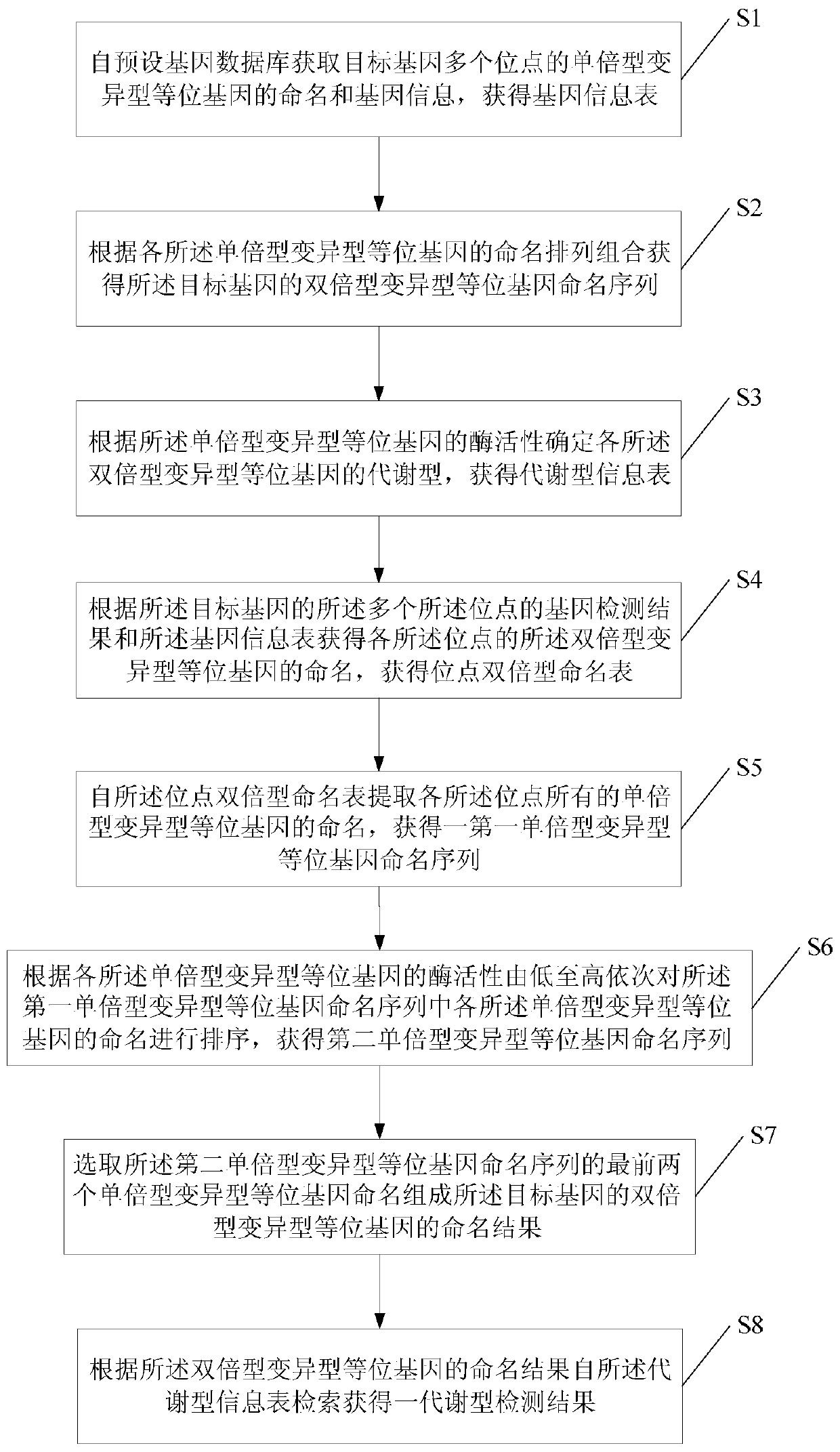 Drug-metabolizing enzyme metabotype assessment method