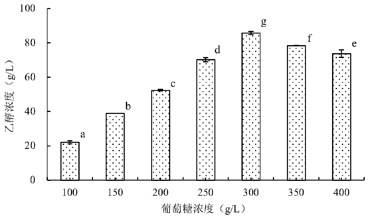 Method for culturing saccharomyces cerevisiae Y3401 to produce ethanol and application of saccharomyces cerevisiae Y3401 in white spirit brewing