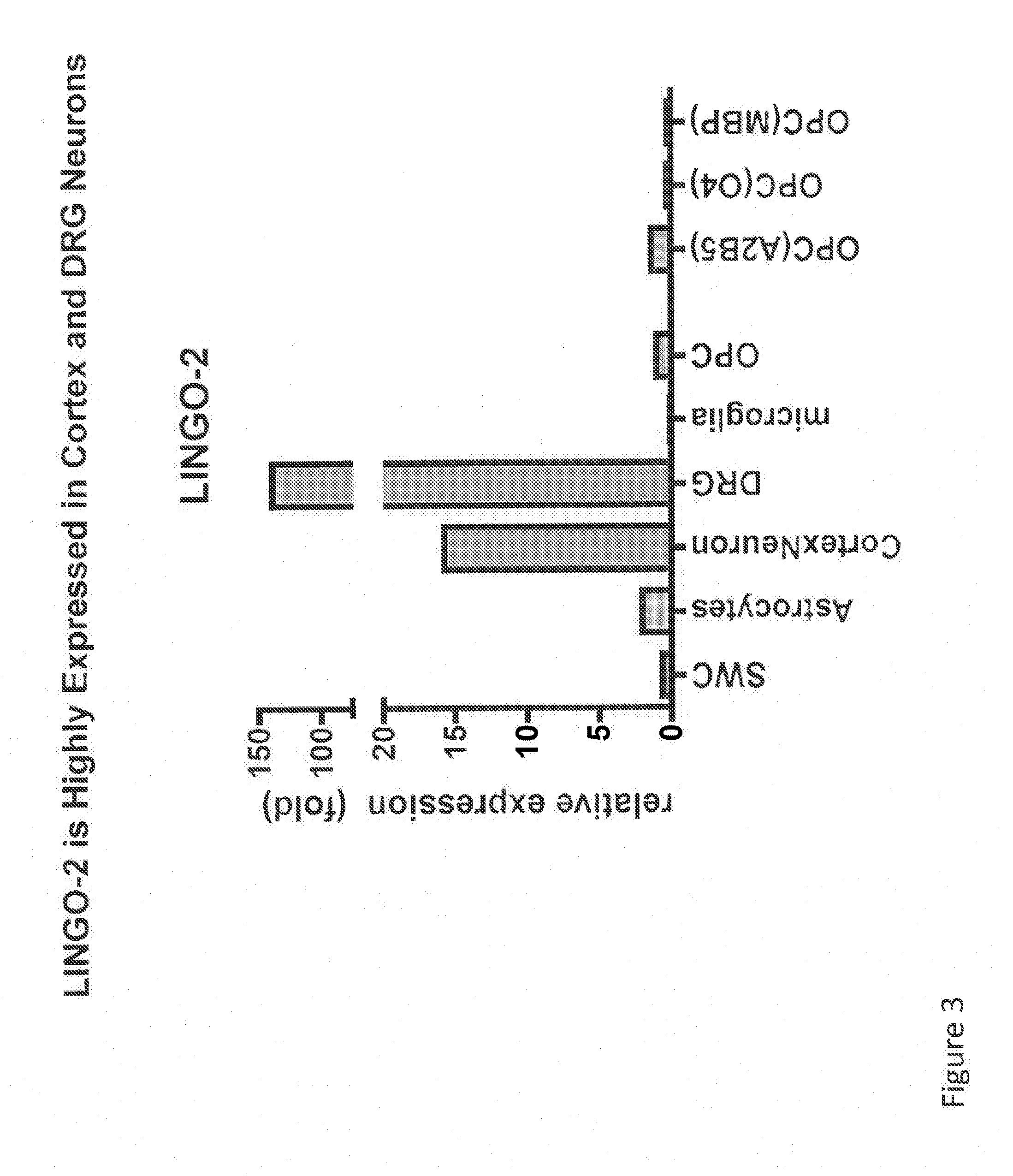 Lingo-2 antagonists for treatment of conditions involving motor neurons