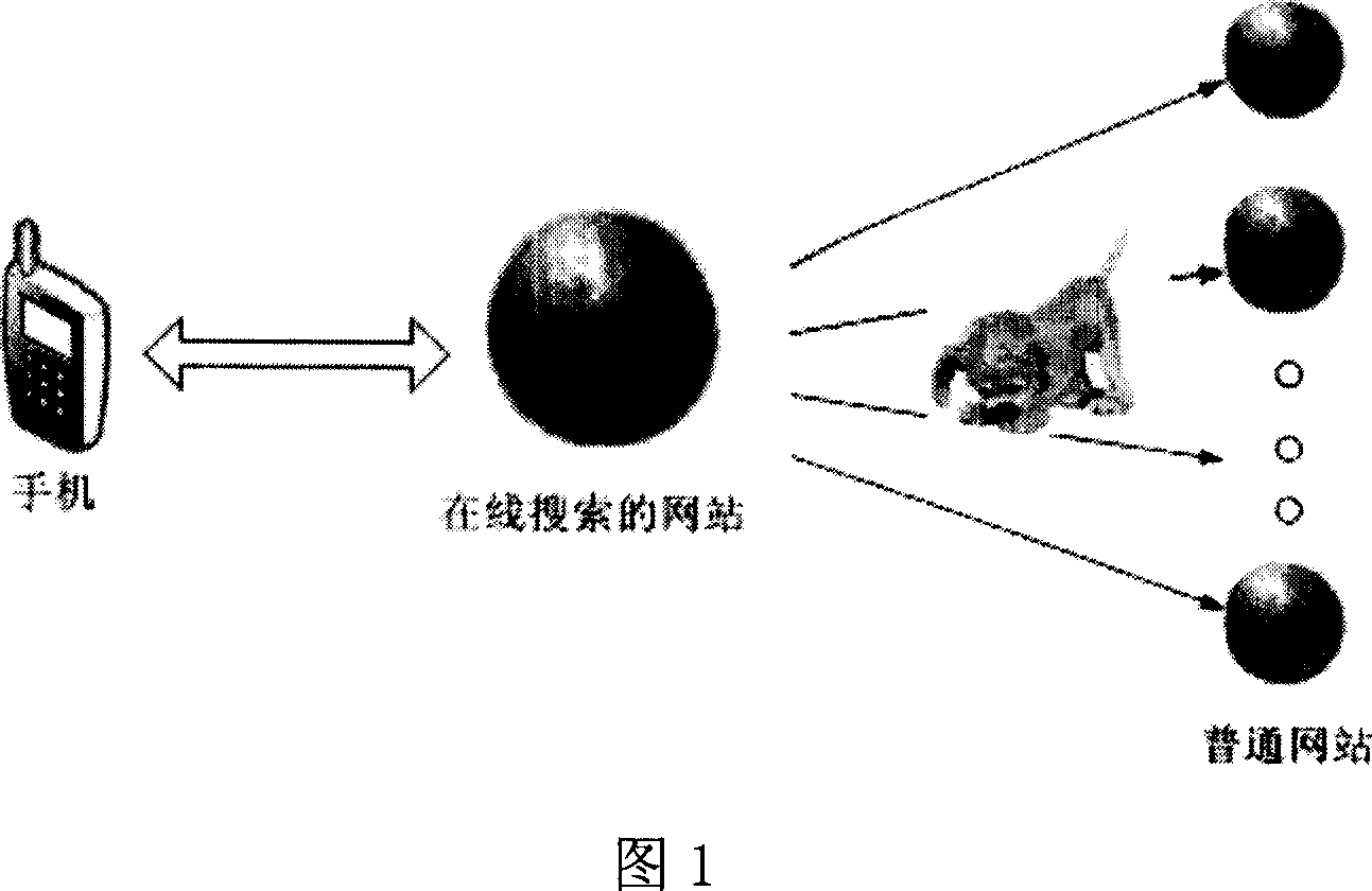 The system and method for handset online searching