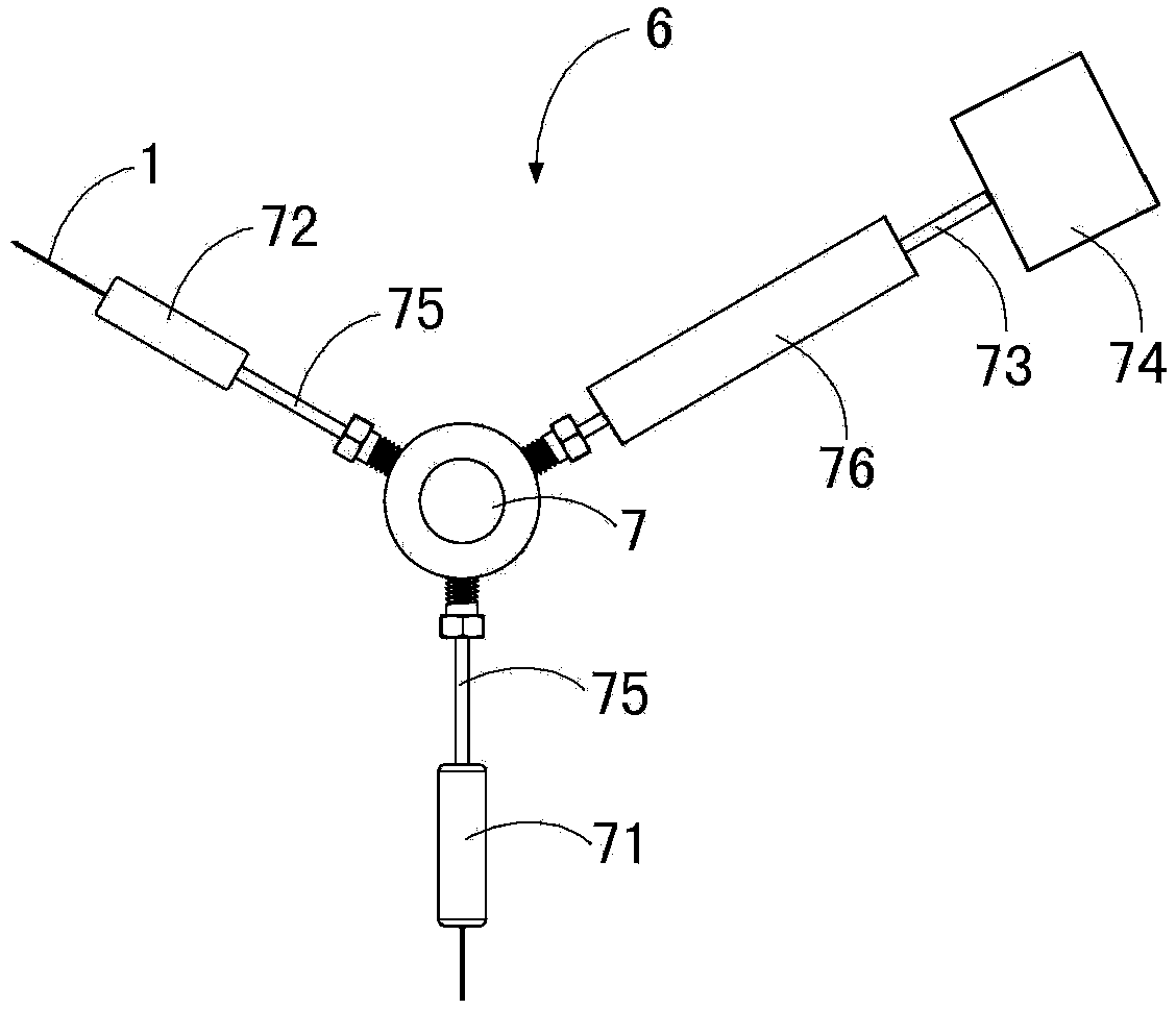 Mass spectrum ion source and mass spectrometer