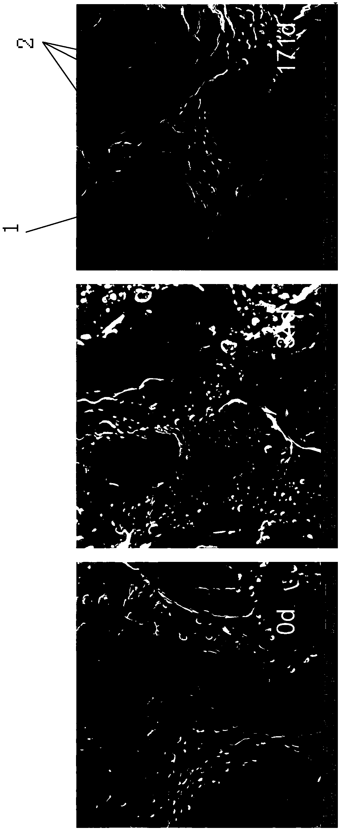 Method for evaluating consistency of aging mechanism of composite solid propellant