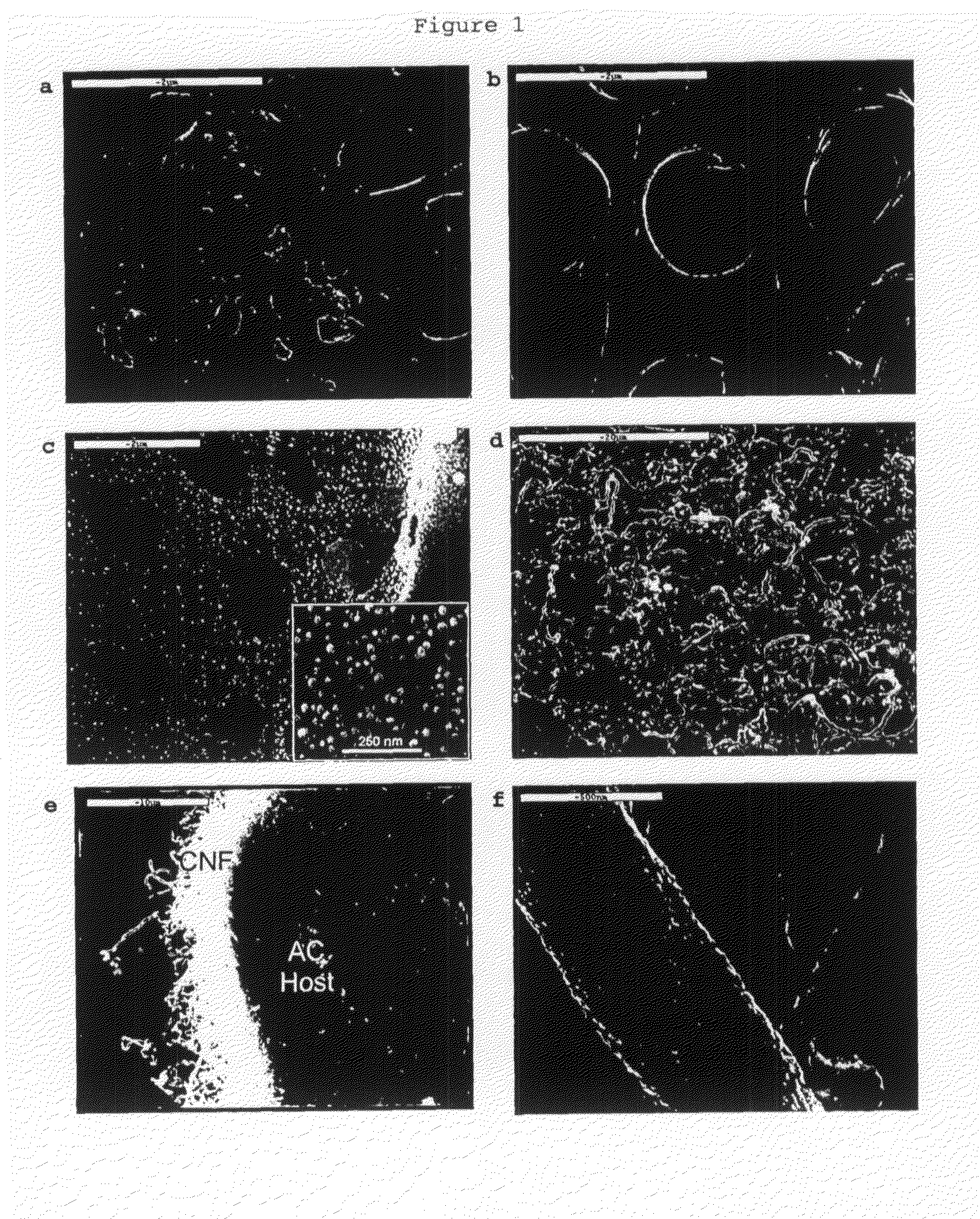 Nanocarbon-activated carbon composite