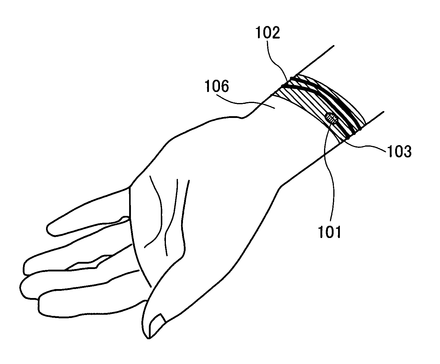 Biological information detection sensor device