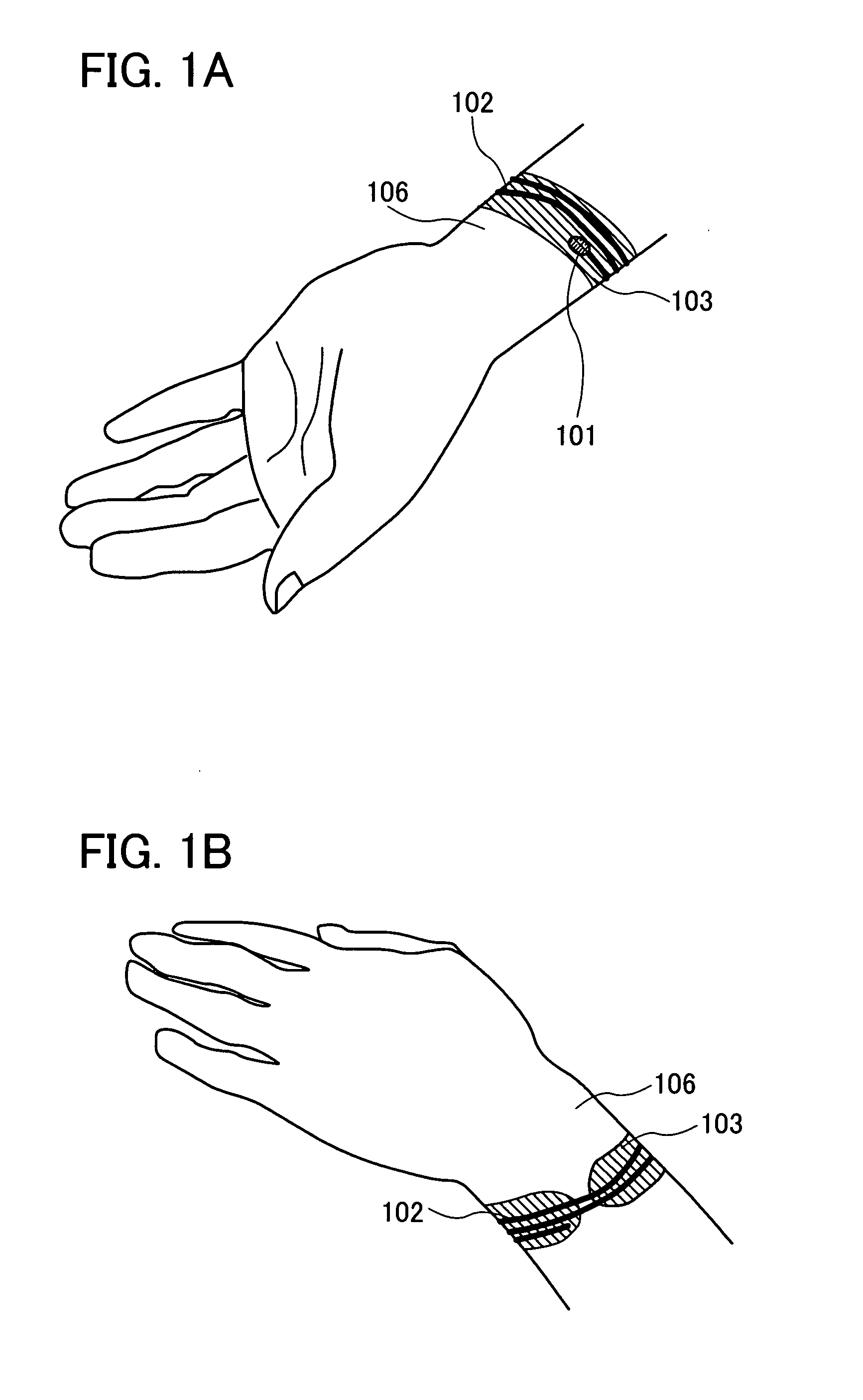 Biological information detection sensor device