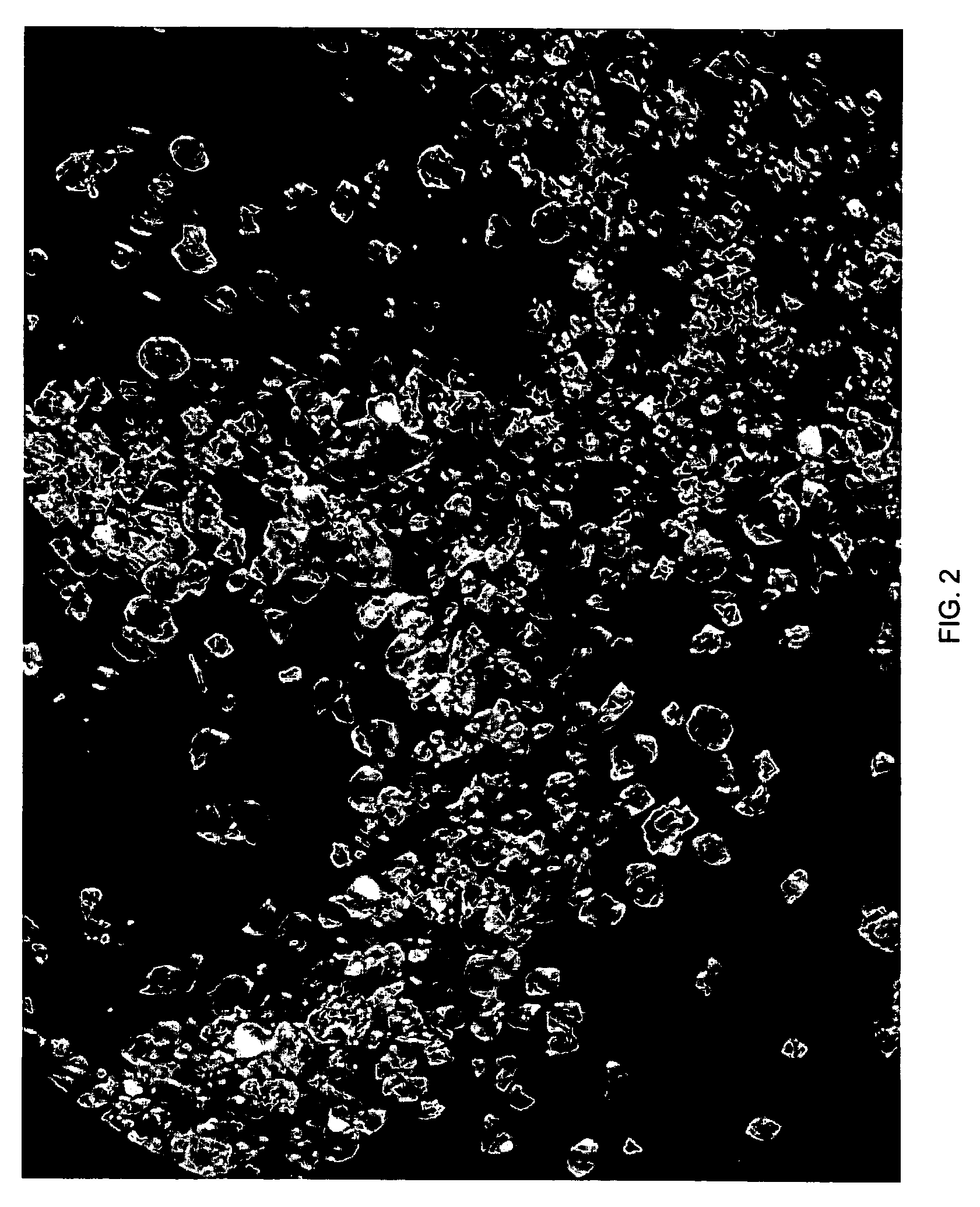 Bacteriophage for lysis of Methylobacterium and compositions and uses thereof