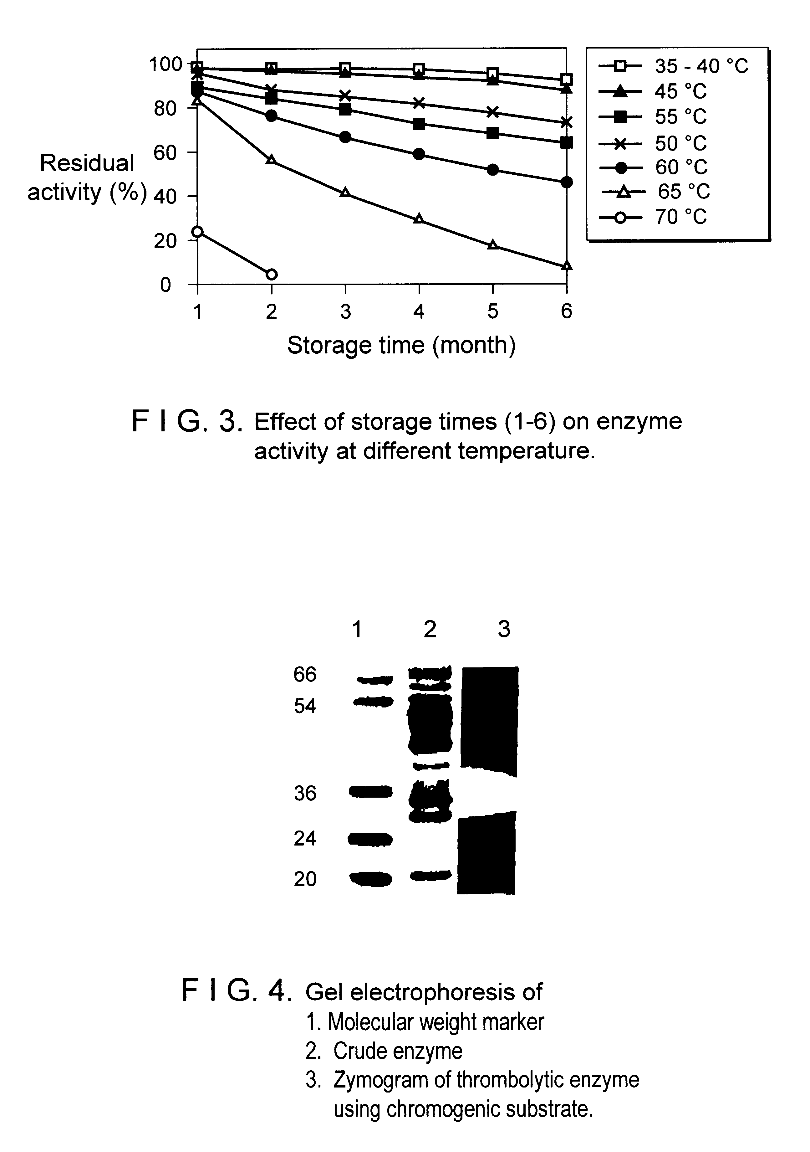 Streptomyces megasporus sd5, process for the isolation thereof, novel fibrinolytic enzyme prepared therefrom, process for the production of said enzyme and method of treatment of thrombolytic disorders using said enzyme