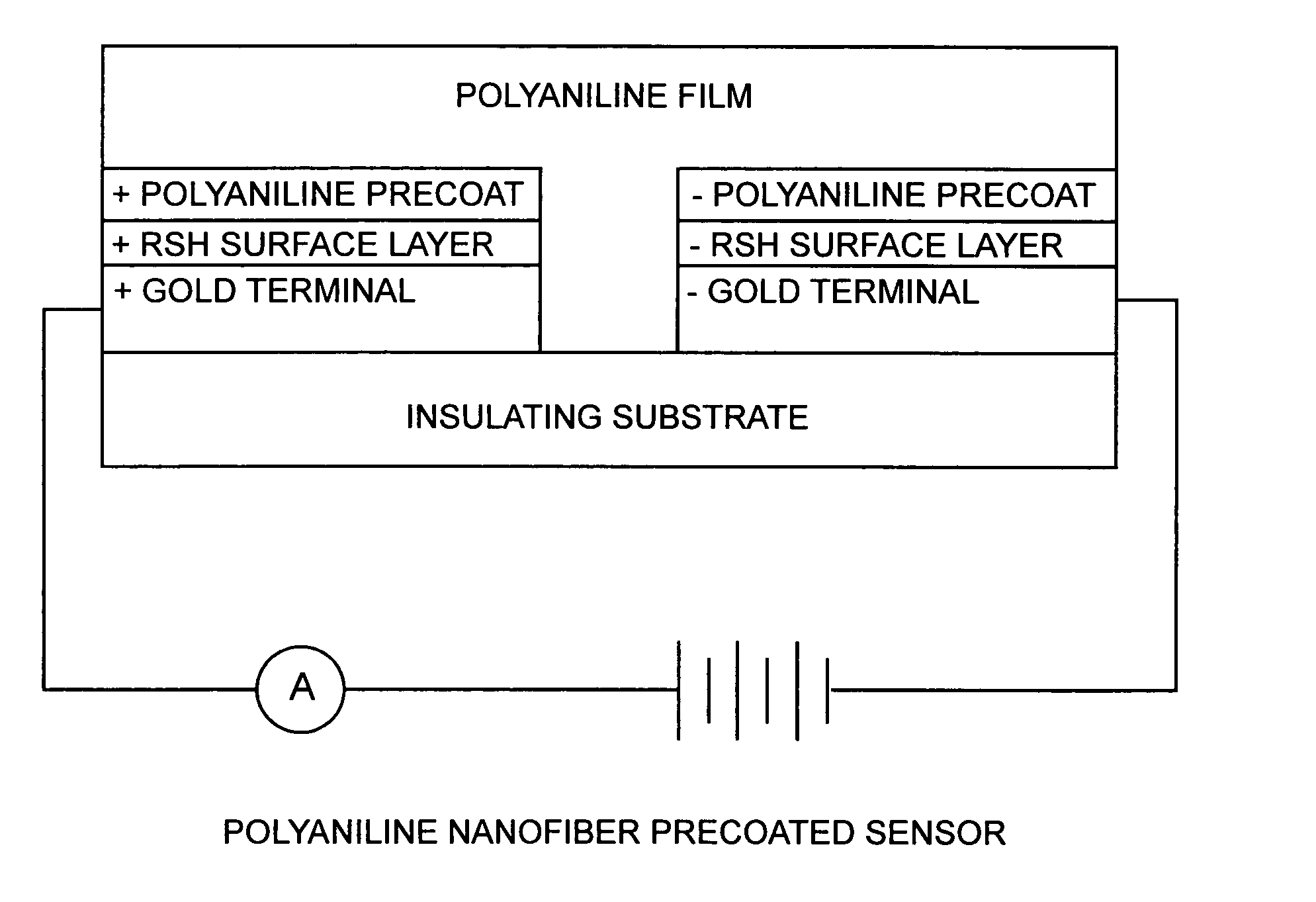 Conducting polymer nanofiber sensors