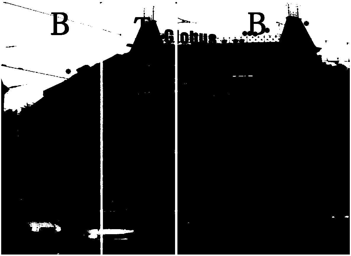 Image alignment method based on multi-model geometric fitting and layered homographic transformation