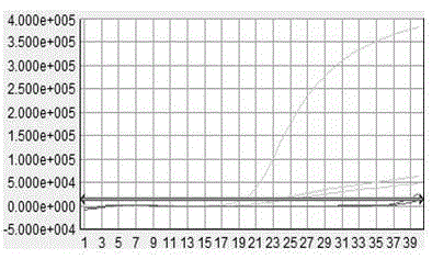 Goat pox virus Taqman-MGB (minor groove binder) probe real-time fluorescence quantitative PCR (polymerase chain reaction) detection primer, kit and detection method