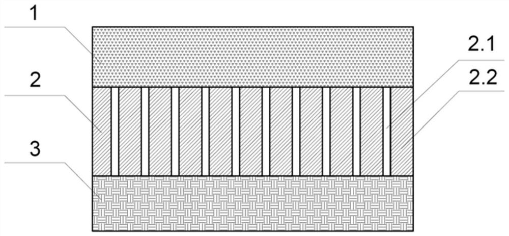 A dynamic membrane based on nuclear pore membrane and its preparation method and application