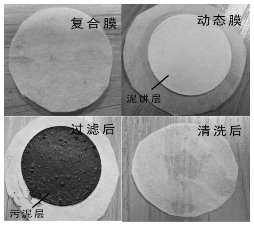 A dynamic membrane based on nuclear pore membrane and its preparation method and application