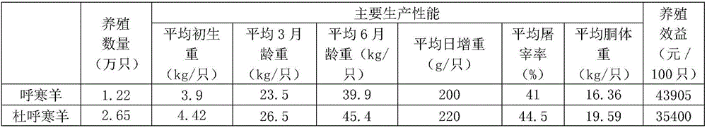 Farming model of three-way cross-bred sheep