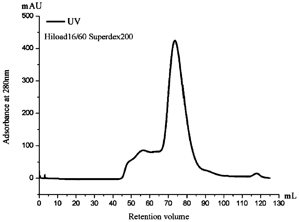 Preparation method and application of recombinant EBV gHgL immunogen