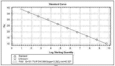 Primer and probe for detecting porcine circovirus type 2 (PCV2), fluorescence quantitative PCR kit, method and application